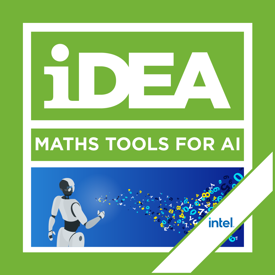 NEW iDEA Bronze Badge: Maths Tools for AI